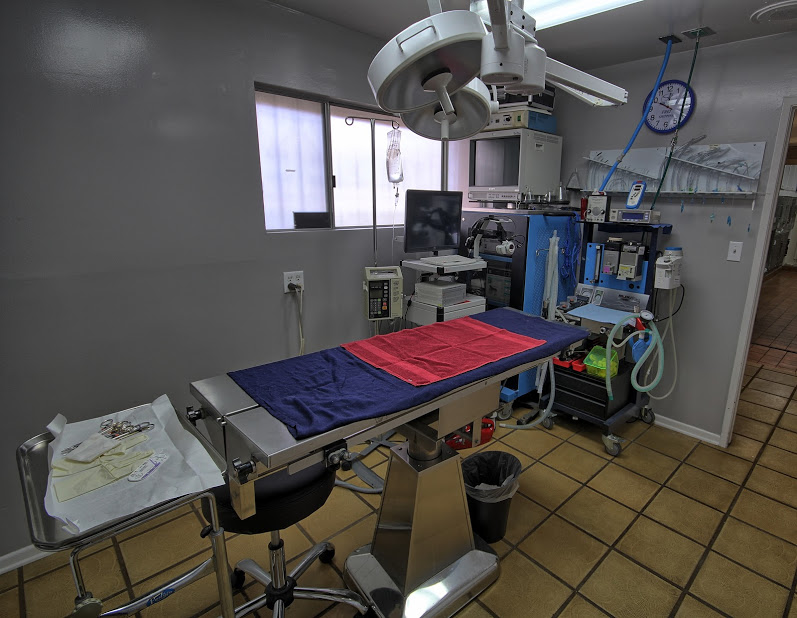 aavh-surgery-room