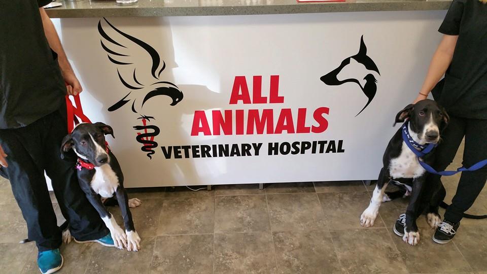 List of emergency veterinary hospitals and clinics in Los Angeles - All Animals  Veterinary Hospital