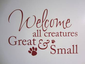 We welcome all creatures - great and small in size. 