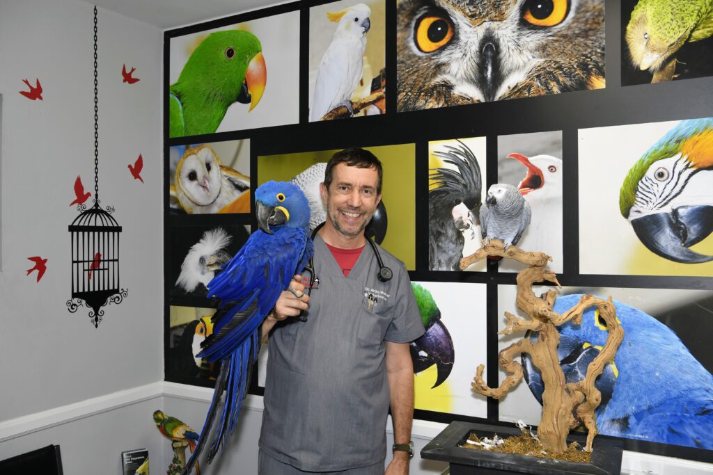 Avian vet hot sale clinic