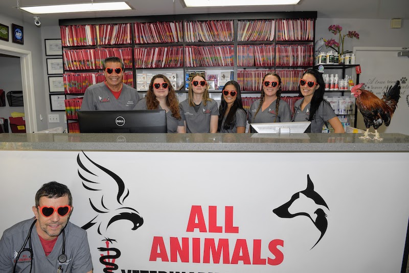 All Animals Vet Clinic staff photo at the front desk.