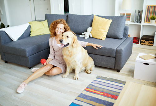 Decorative photo of a woman sitting with her dog in living room. It's important to screen your dog for cancer.