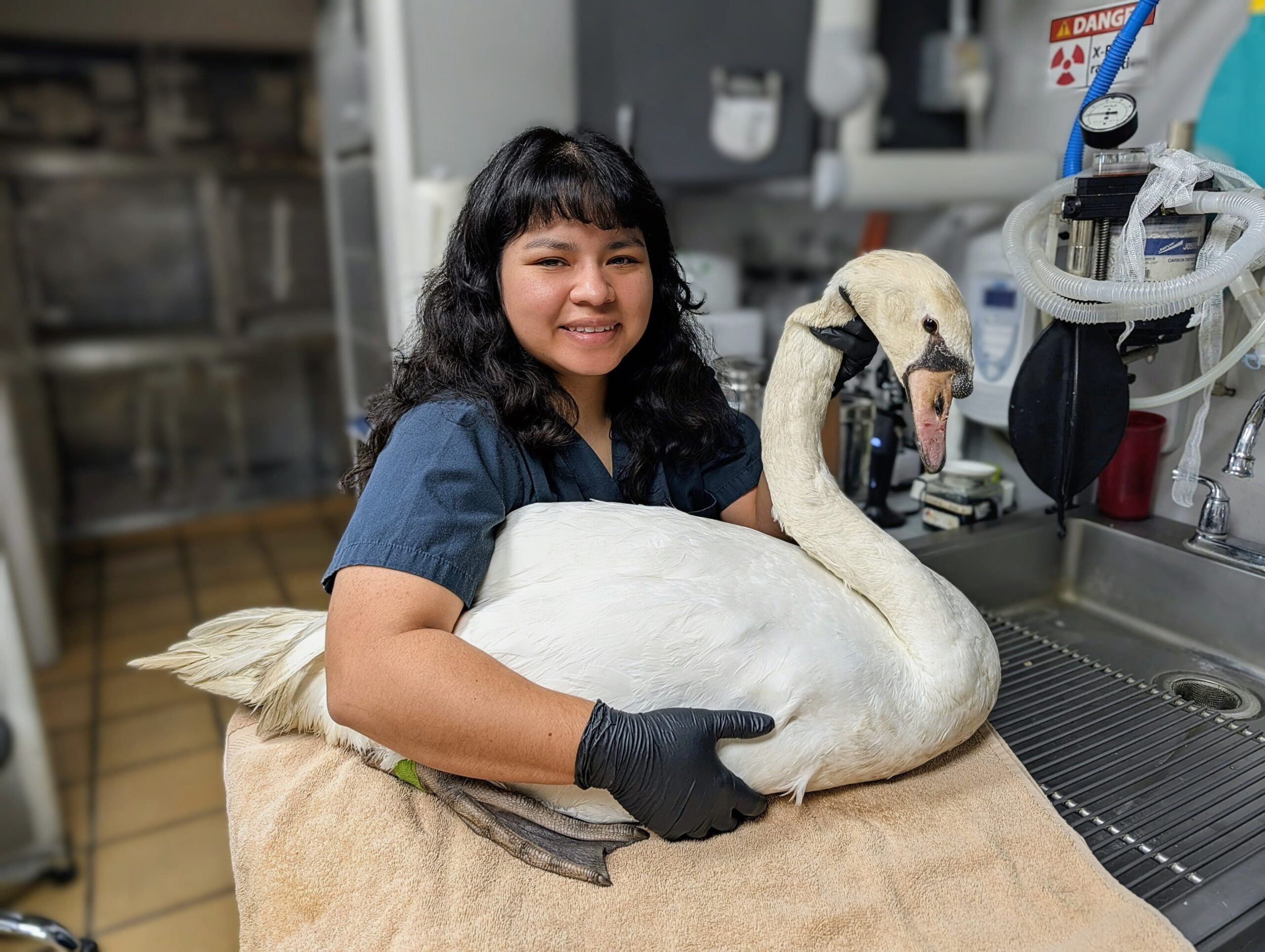 Ingrid, Veterinary Assistant at All Animals